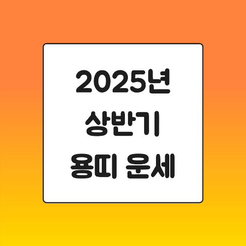 2025년 상반기 용띠 운세