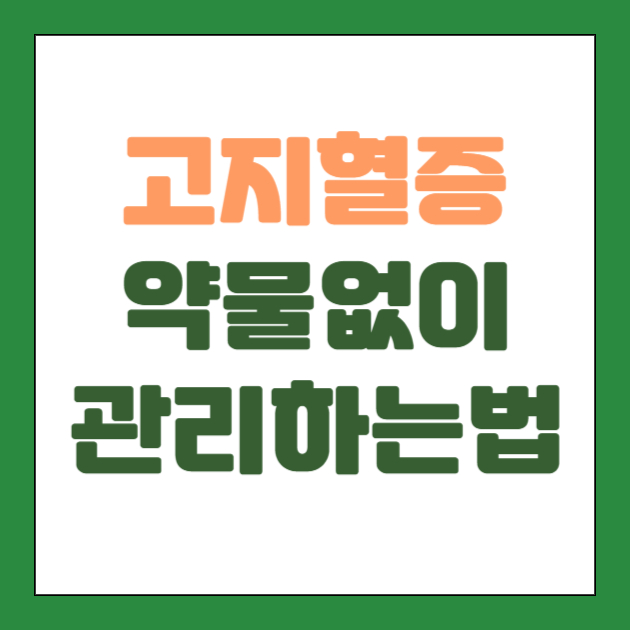 고지혈증 약물 없이 관리하는 법