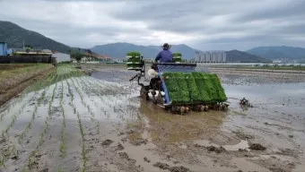 다음 시작페이지 설정 바로가기 크롬 설정 방법_14