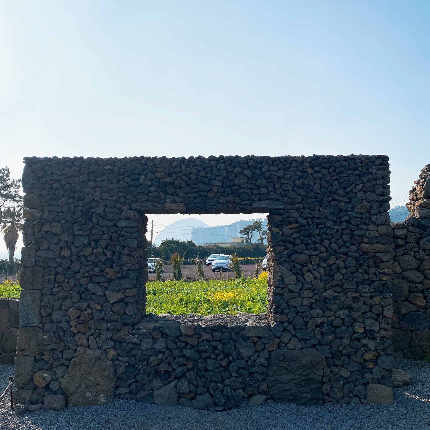 제주 안덕 유채꽃 포토존 오션뷰 카페 휴일로