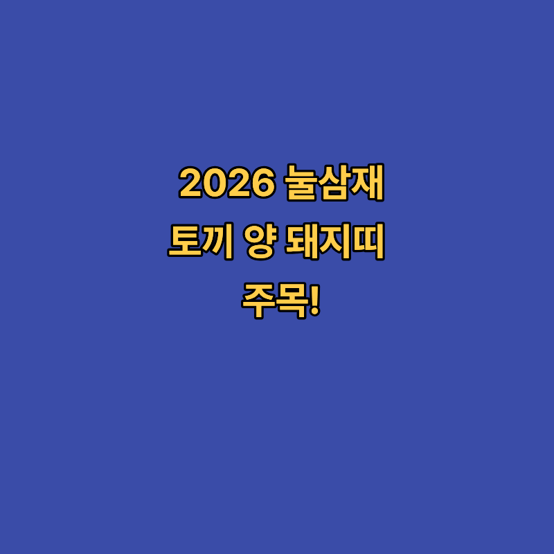 2026 삼재 띠