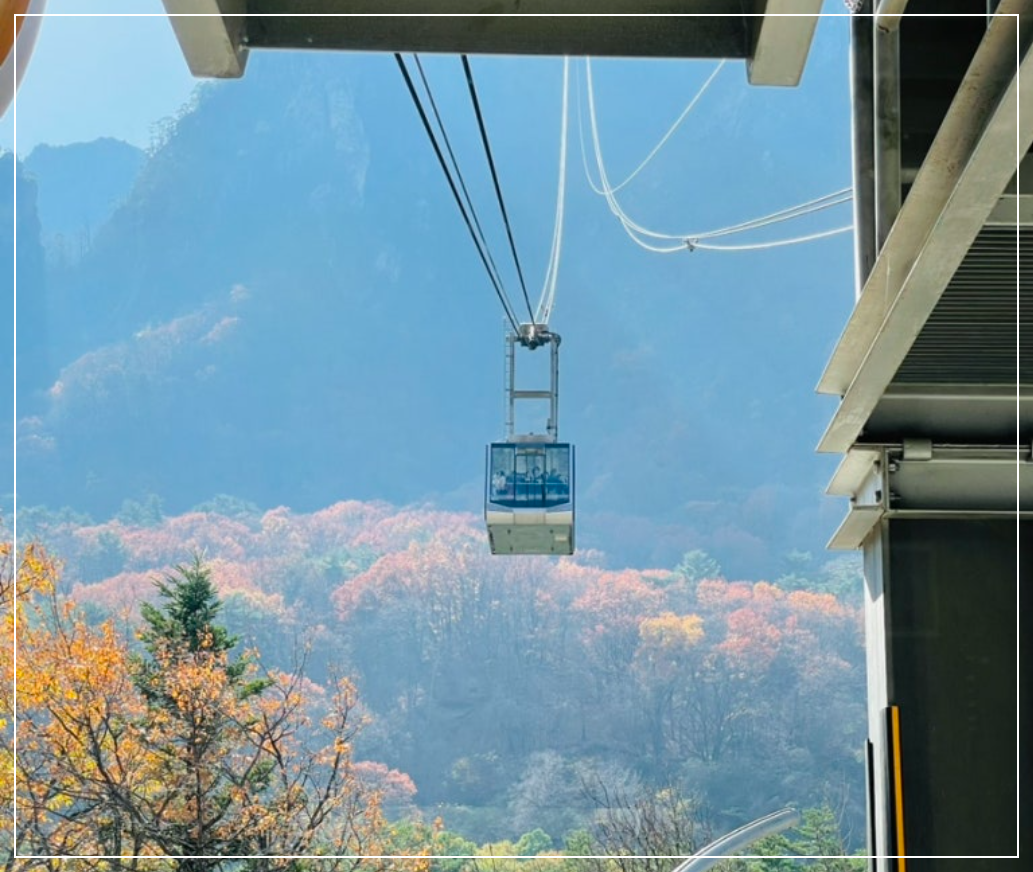 단풍-명소-5