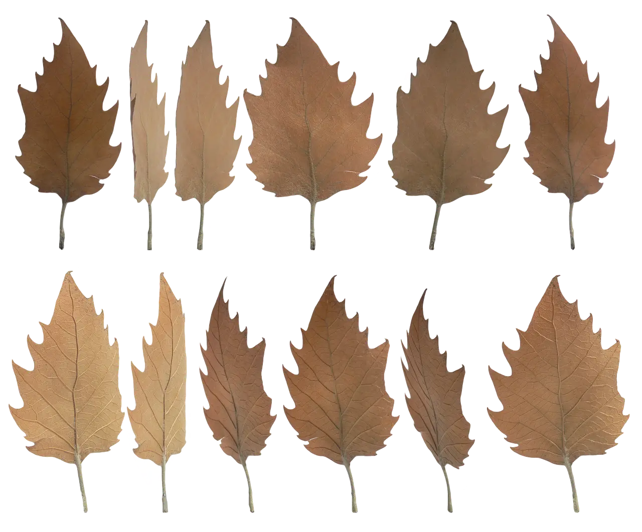 인공광합성의 5000시간 보호층 수명