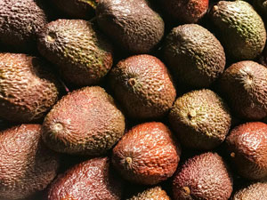 아보카도 후숙 - 짙은 초록빛