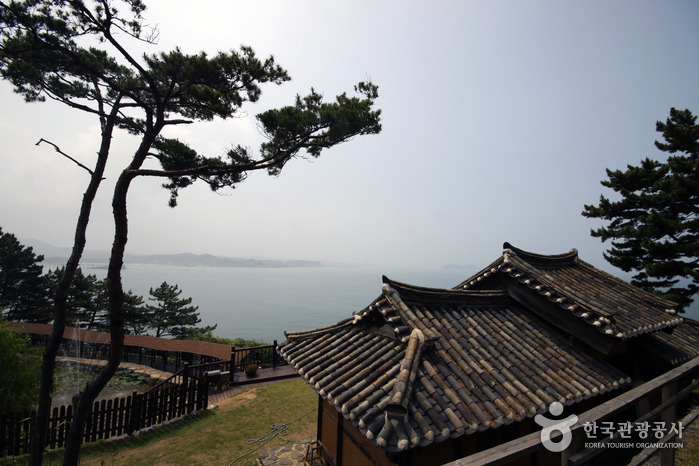 2026 보령 가볼만한곳