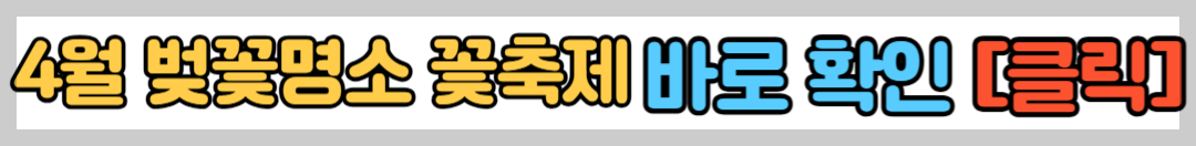 진해 벚꽃축제 ❘ 현지인 추천 벚꽃명소 ❘ 진해 군항제 페스티벌 ❘ 진해 가볼만한 곳