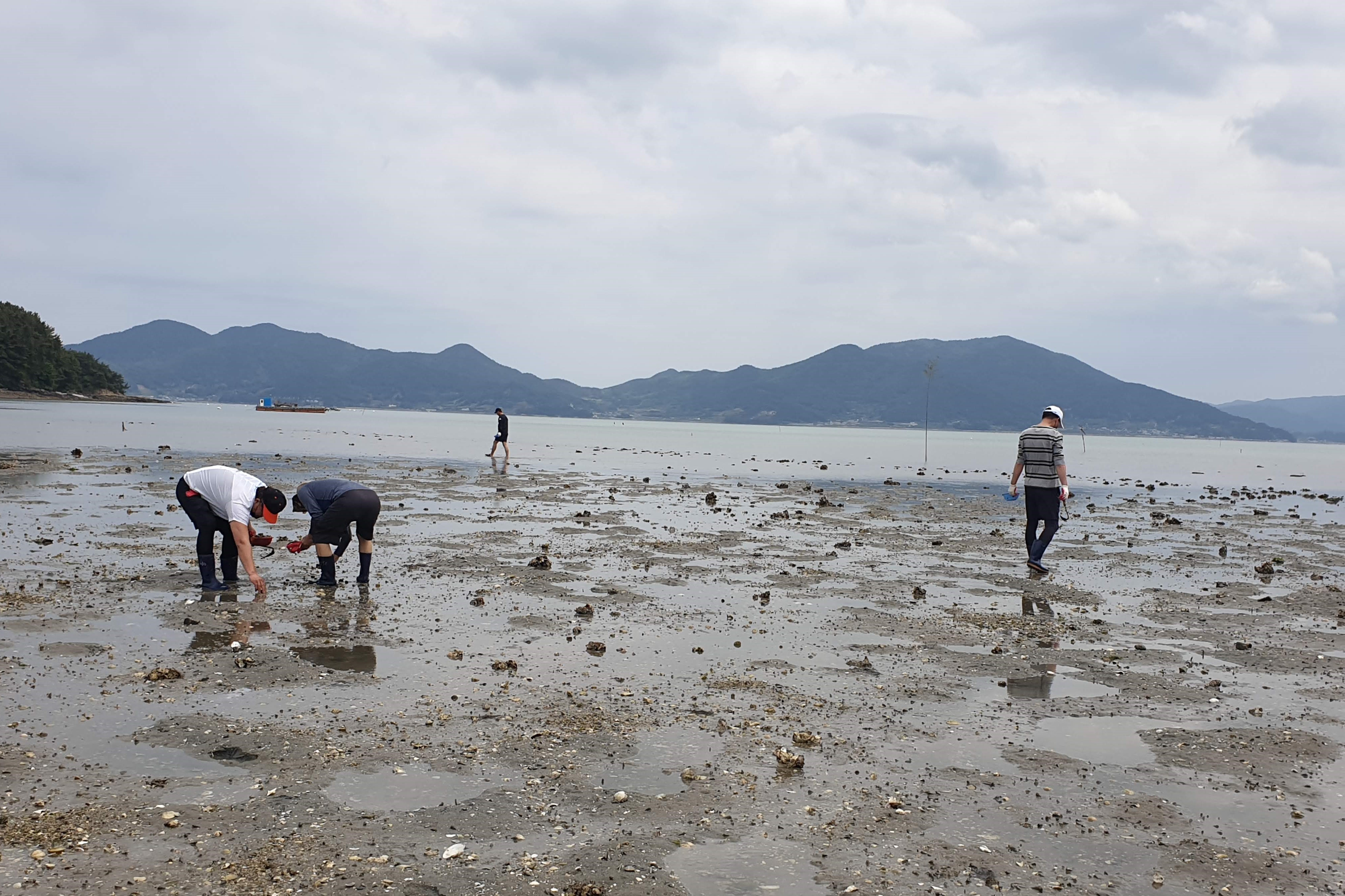 문항마을 갯벌체험