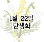 이 이미지를 클릭하시면 1월 22일 탄생화에 관한 포스팅으로 이동됩니다.