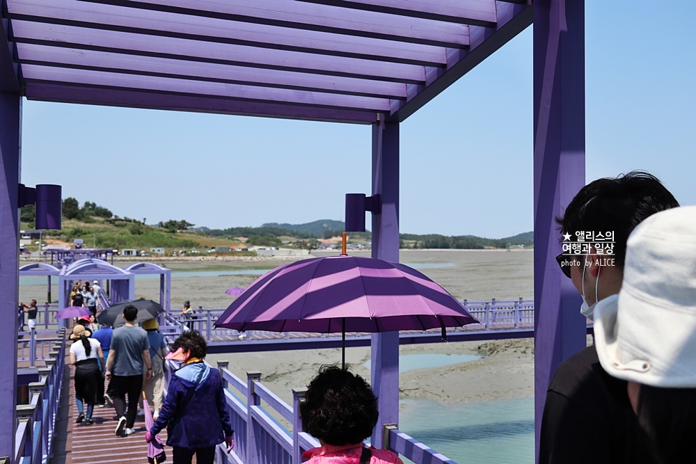 국내 이국적이거나 이색적이거나 가을 여행지 추천 BEST 07 신안퍼플섬 하동 삼성궁 다랭이 마을 포함