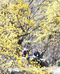 2025년 춘분 뜻 날짜, 의미