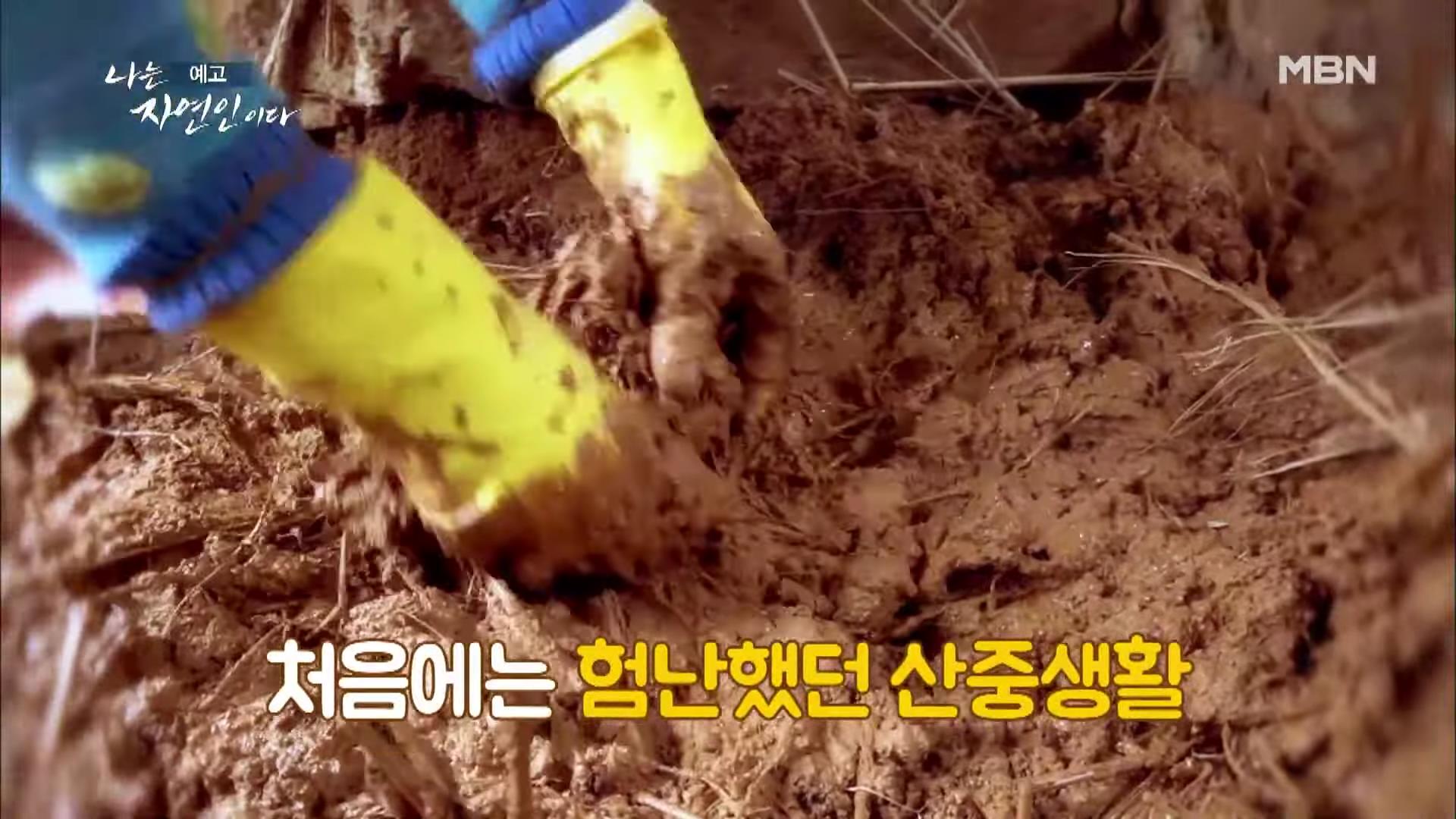 나는 자연인이다 100년 집 머위꽃 튀김 달래무침 개복숭아 고추장 황태 북어 구이 고립무원의 자유 자연인 서옥선 소개 및 윤택 출연 549회 다시보기