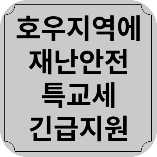 재난지원