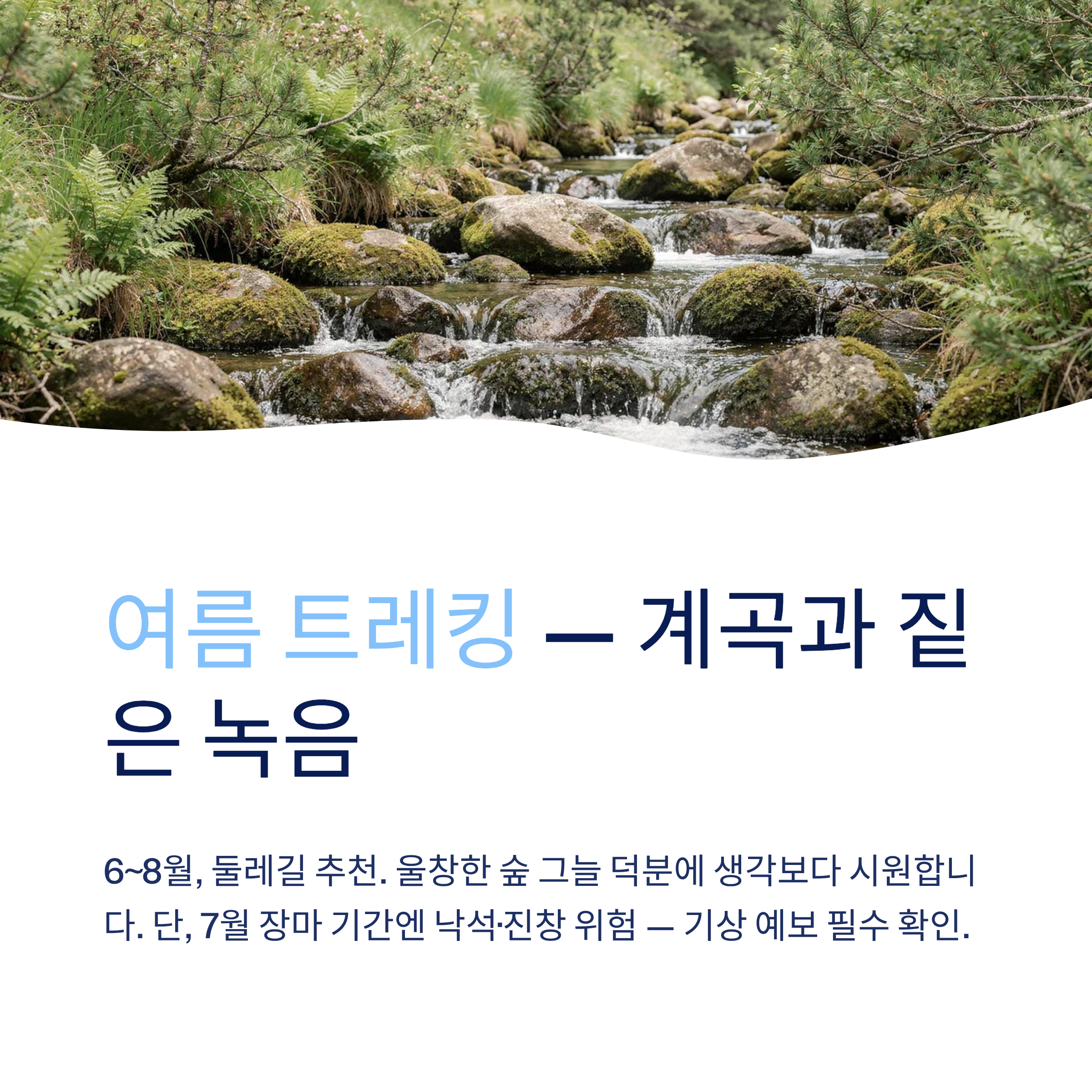 수원 광교산 트레킹 코스 완벽 가이드 — 초보부터 고수까지 모두 즐기는 법