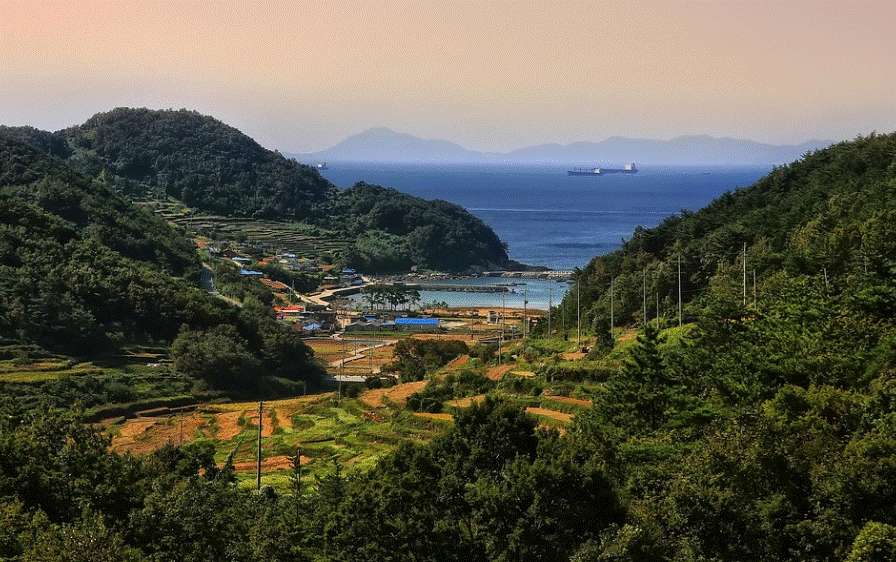 남해 다랭이마을의 계단식 논 풍경 사진