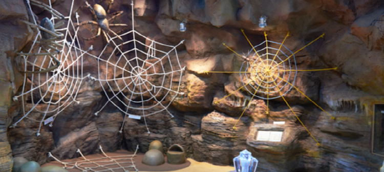 예천 곤충생태원