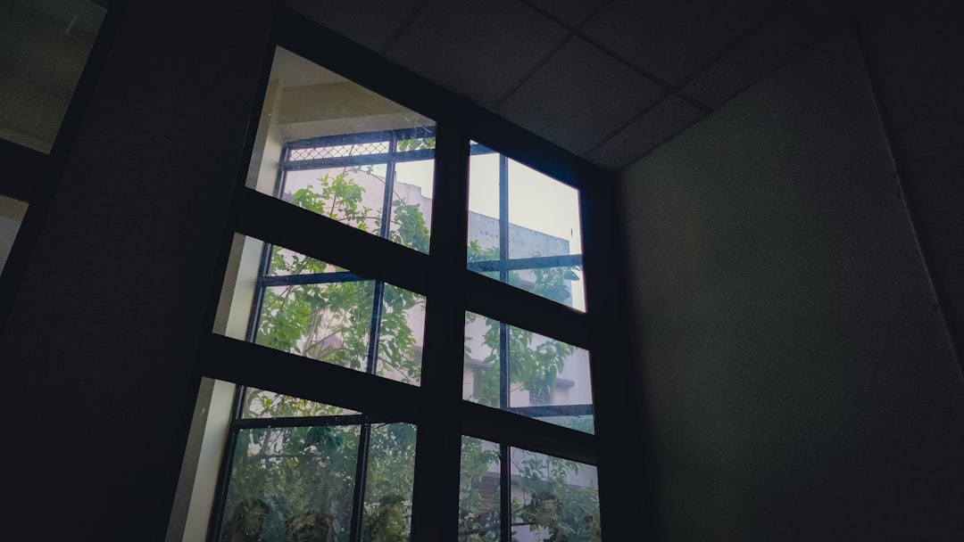 viewbox