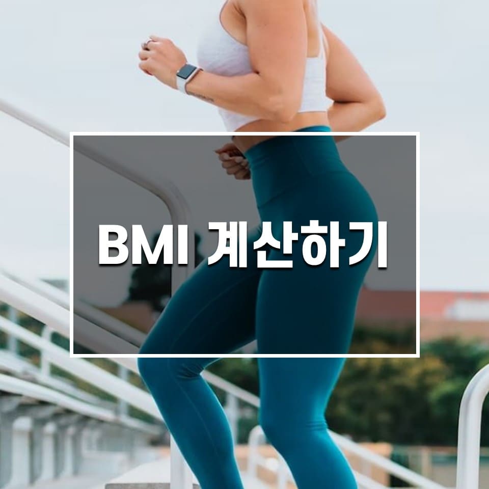 BMI 계산하기