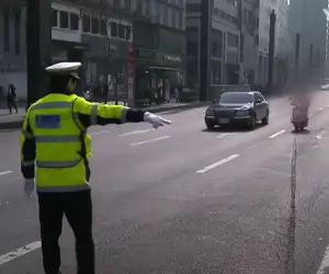 자동차 과태료 범칙금 단속 사진