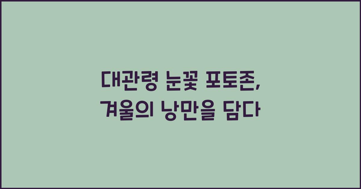 대관령 눈꽃 포토존