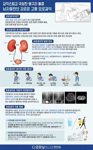 요로 결석 보험