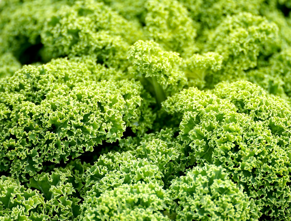 고향사랑 기부제