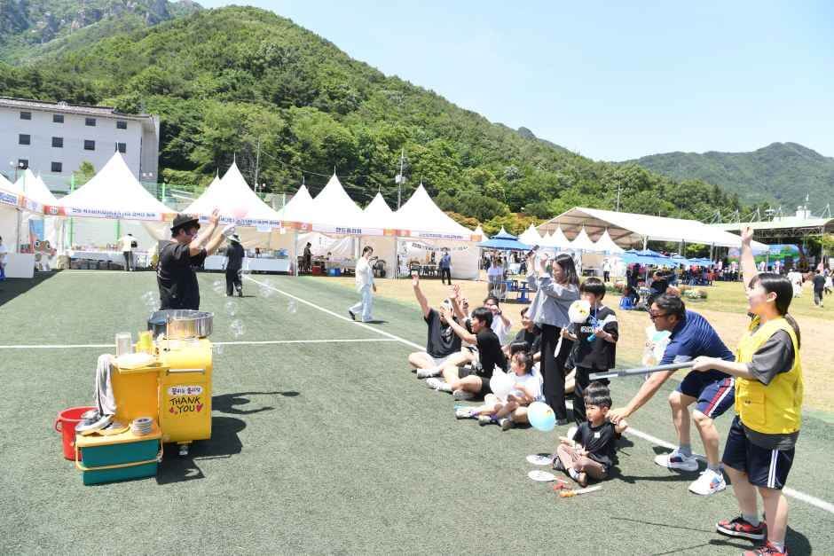 완주 대둔산 축제