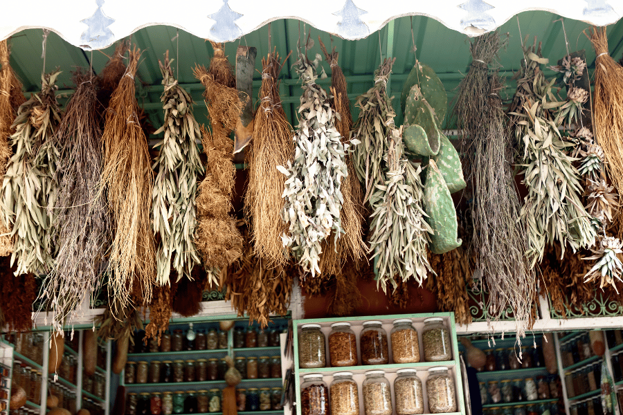 전통 약초 힐링 여행