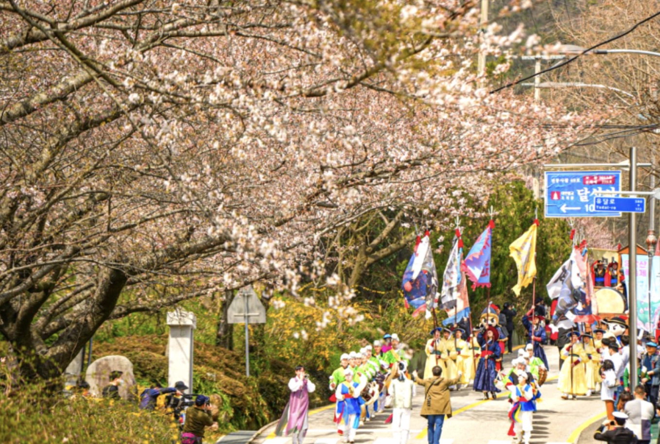 2025 목포 유달산 봄축제 필수 방문 꿀팁