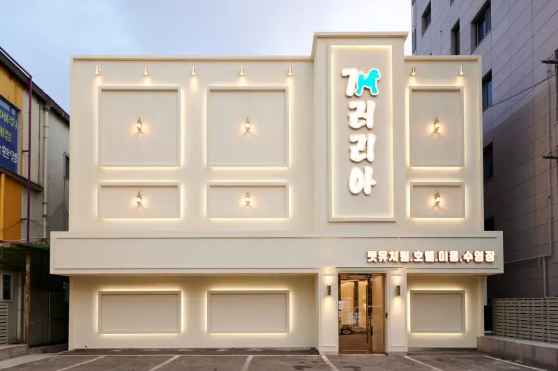 개러리아 송파점 강아지 유치원