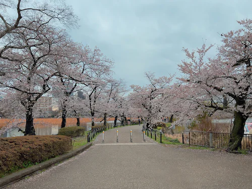도쿄 우에노 공원이미지