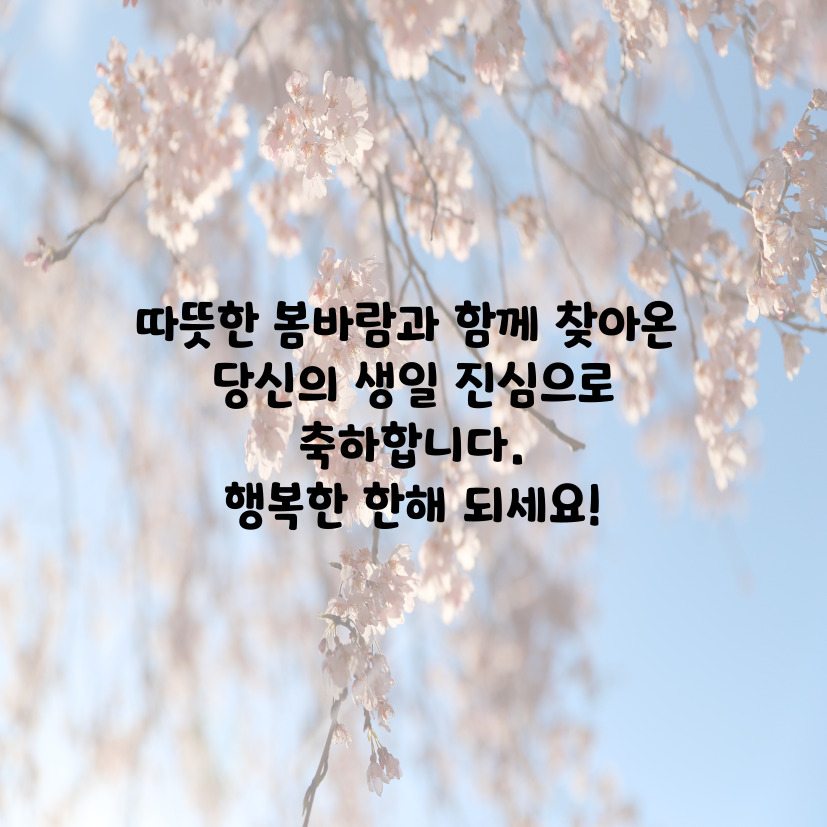 벚꽃 인사말 모음: 입체 3D 팝업카드 보내기