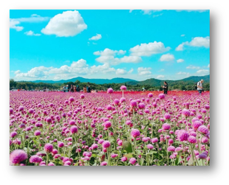 양주 나리공원3