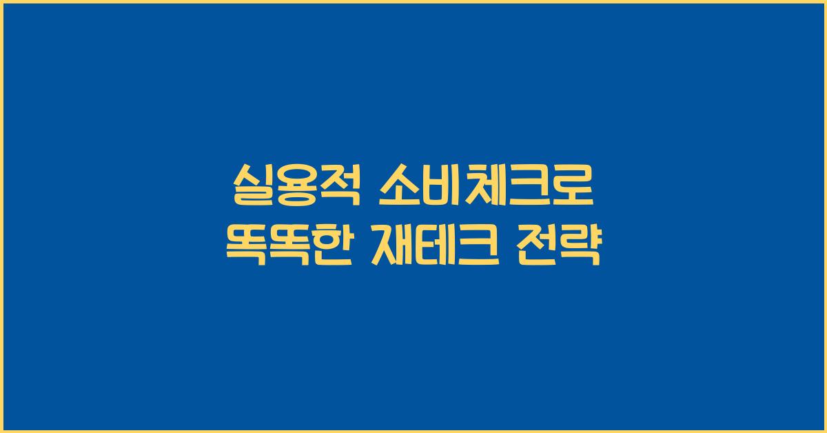 실용적 소비체크