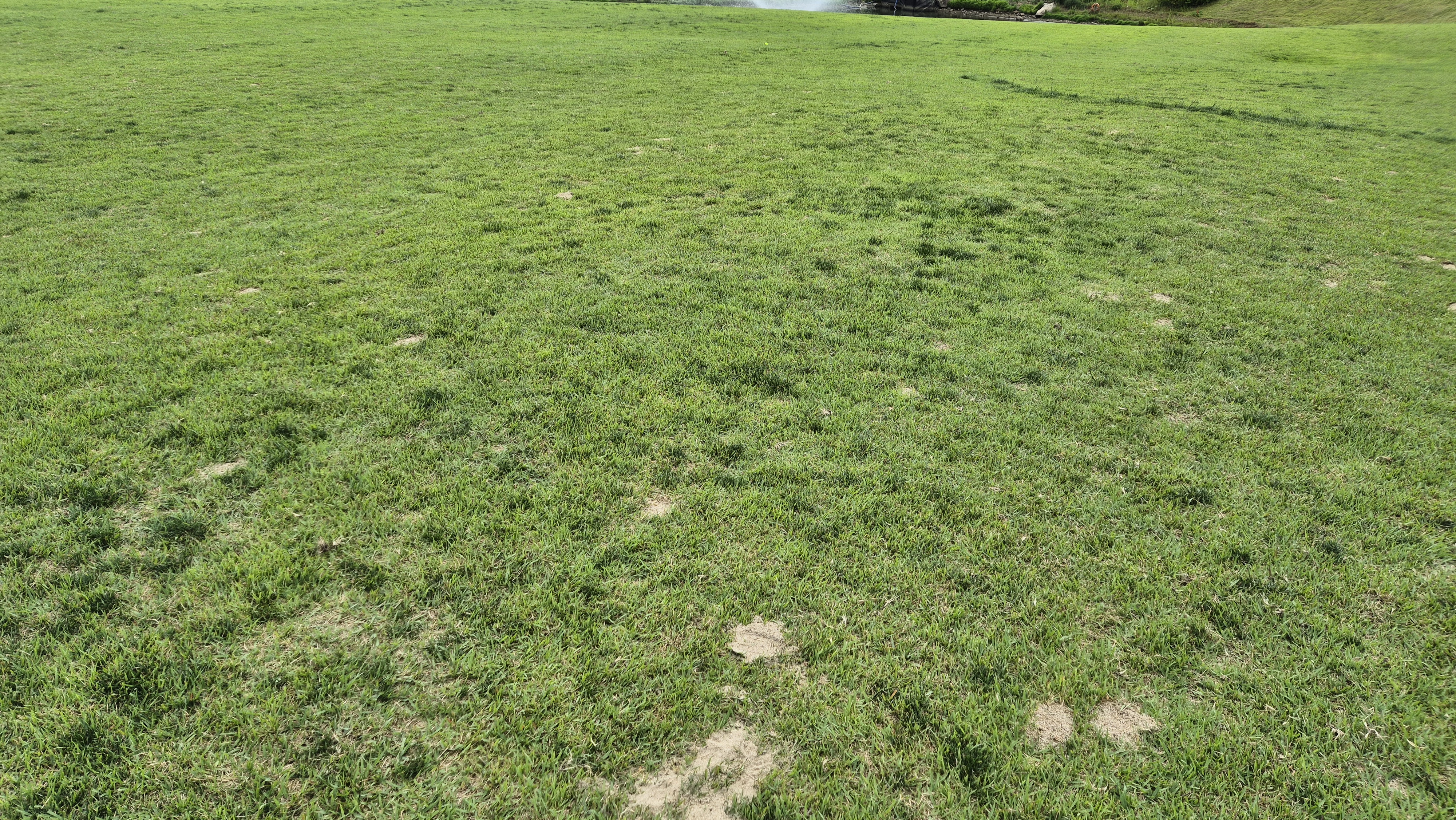 샴발라cc 라운드 후기