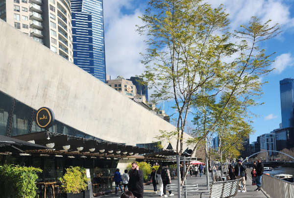 예술과 감성의 멜버른 CBD(도심) 여행_야라강변 식당들