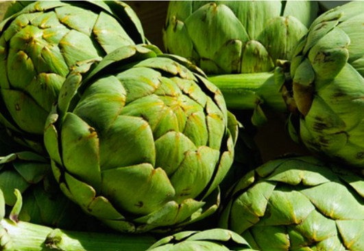 아티초크, 녹색채소,