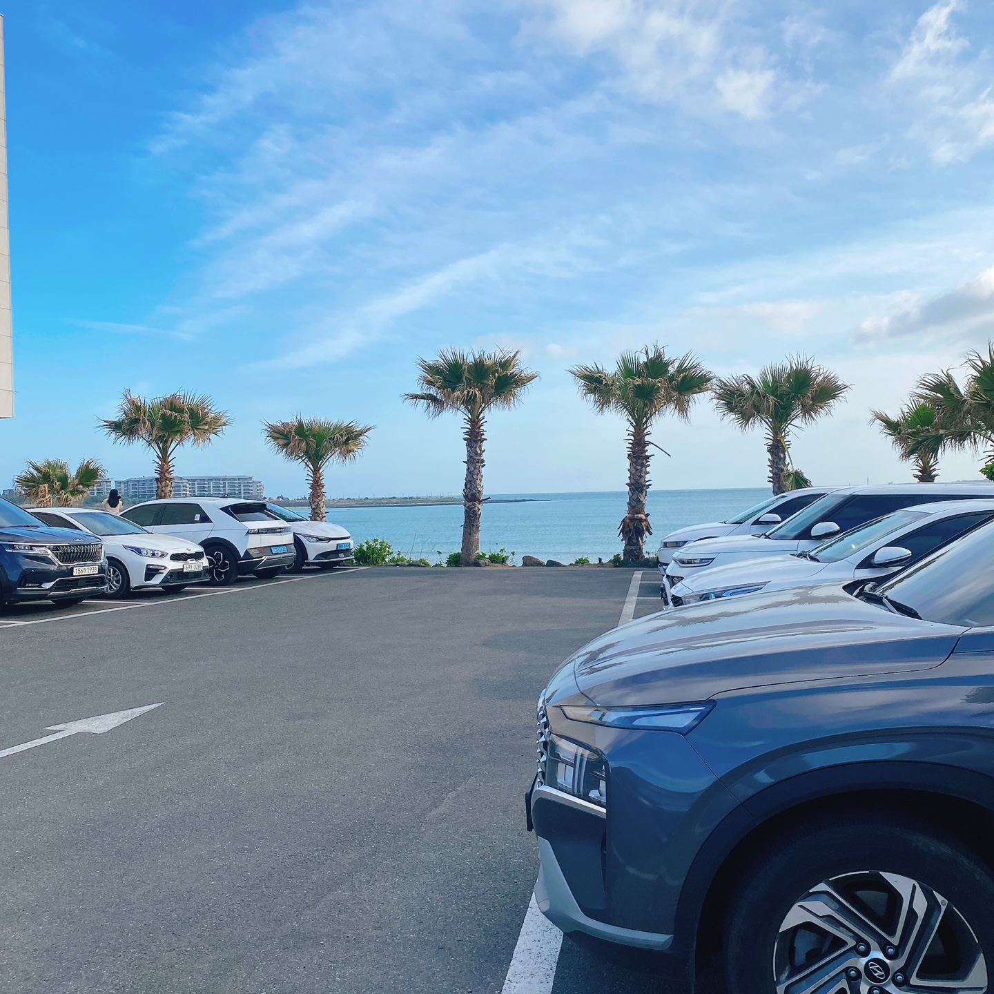 제주 성산 섭지코지 아쿠아플라넷 서귀피안 베이커리 카페