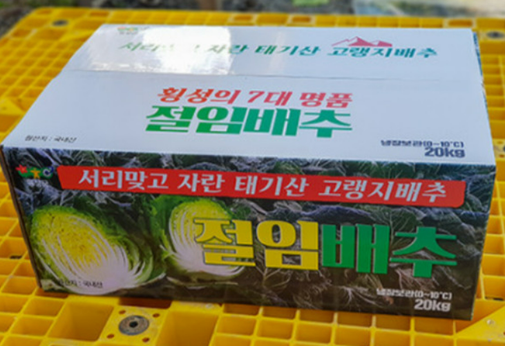 고랭지 태기 절임배추