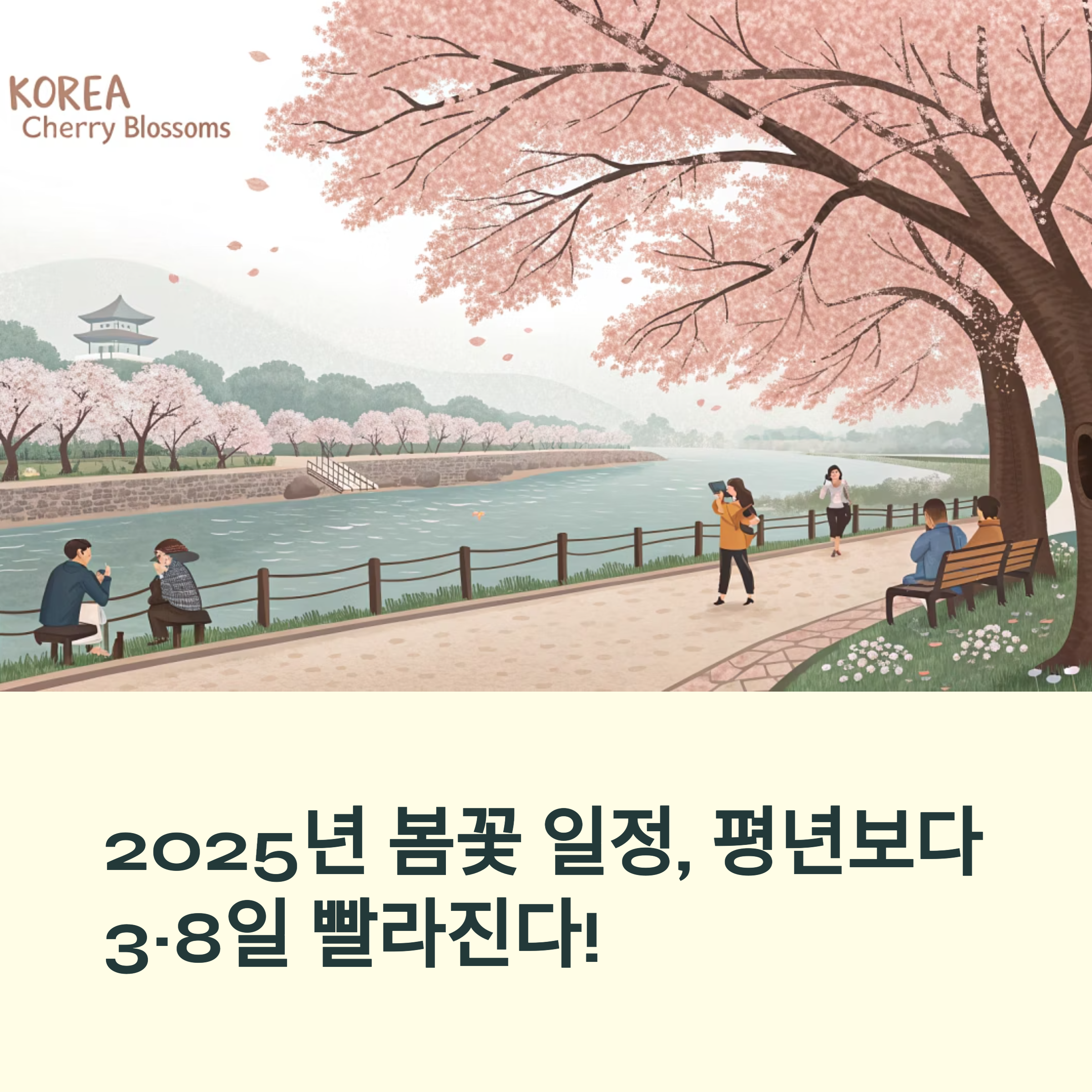 날씨 보고 떠나는 봄꽃 여행! 지역별 추천지