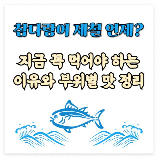 참다랑어 제철 언제? 지금 꼭 먹어야 하는 이유와 부위별 맛 정리