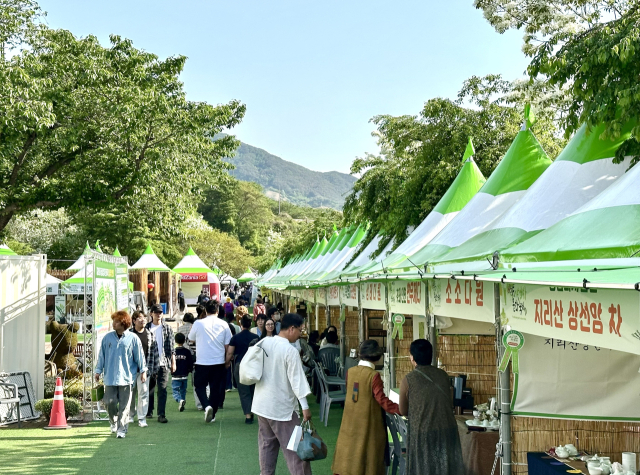 하동야생차문화축제 모습 그림자료