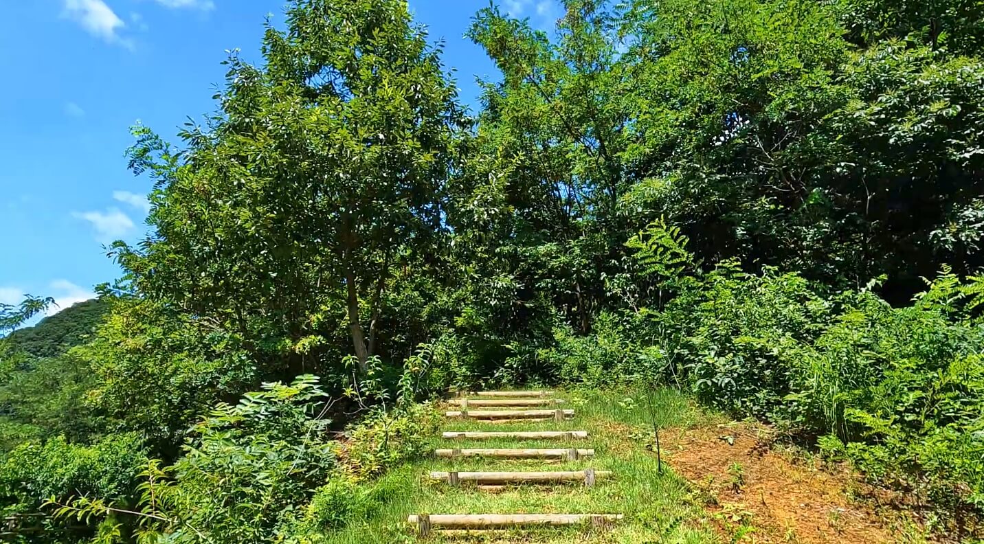 어깨산