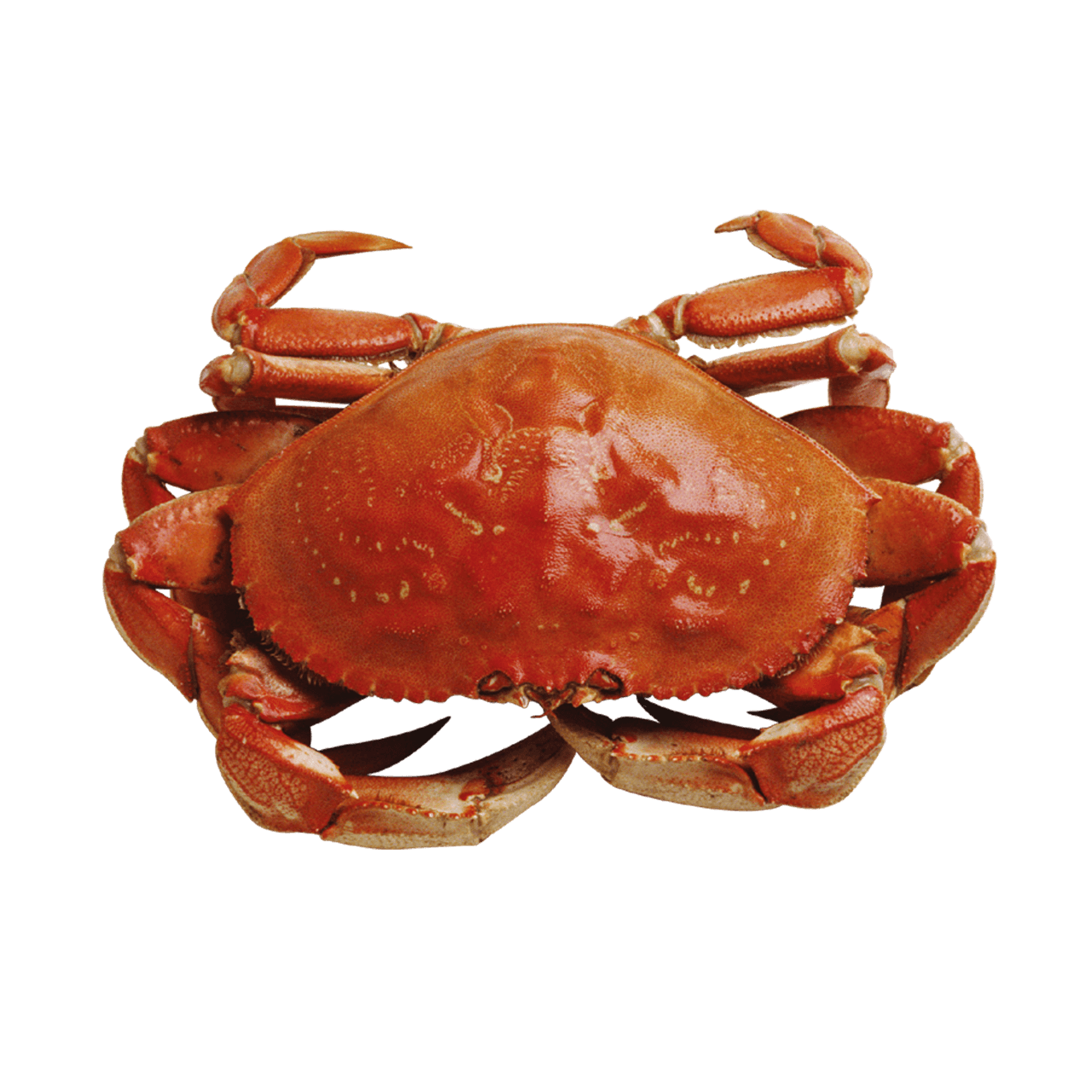 남성갱년기에 좋은 음식