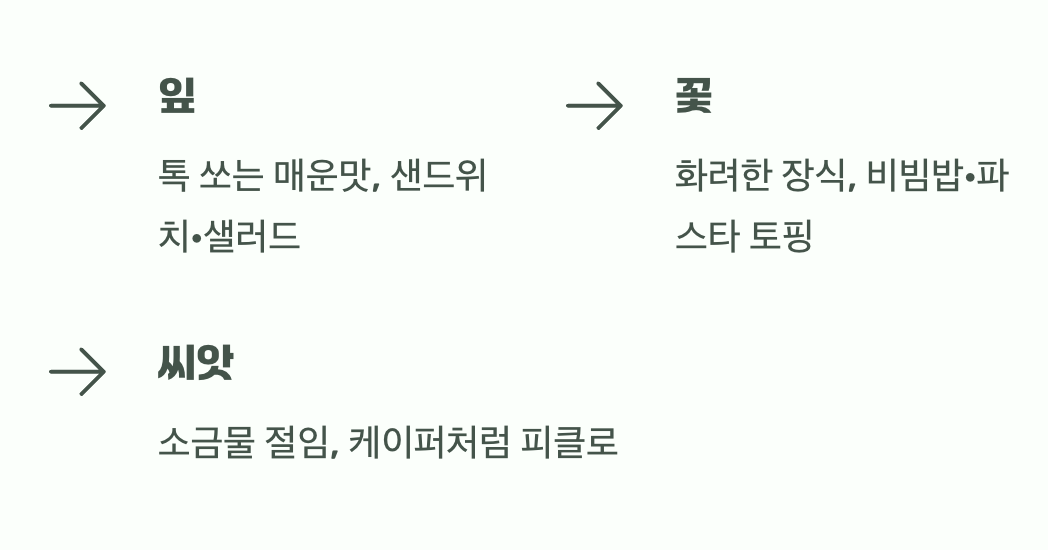 먹는 즐거움, 잎부터 꽃까지