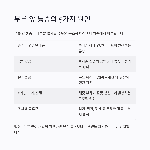 무릎 앞 통증의 원인과 관리법, 슬개골 통증에 좋은 관절 영양제 추천
