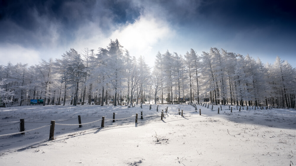 12월 강원도 여행지 인제 평창 정선 태백 영월 동해