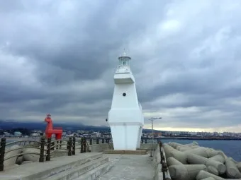 제주공항근처가볼만한곳 제주공항 근처 가볼만한곳 가족과 가기 좋은 리스트 완벽 가이드_20