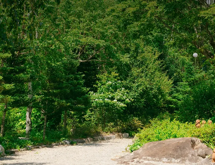 국립한국자생식물원-입장료-운영시간-할인-방법