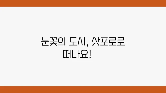 삿포로에서 즐길 수 있는 겨울 스포츠 활동