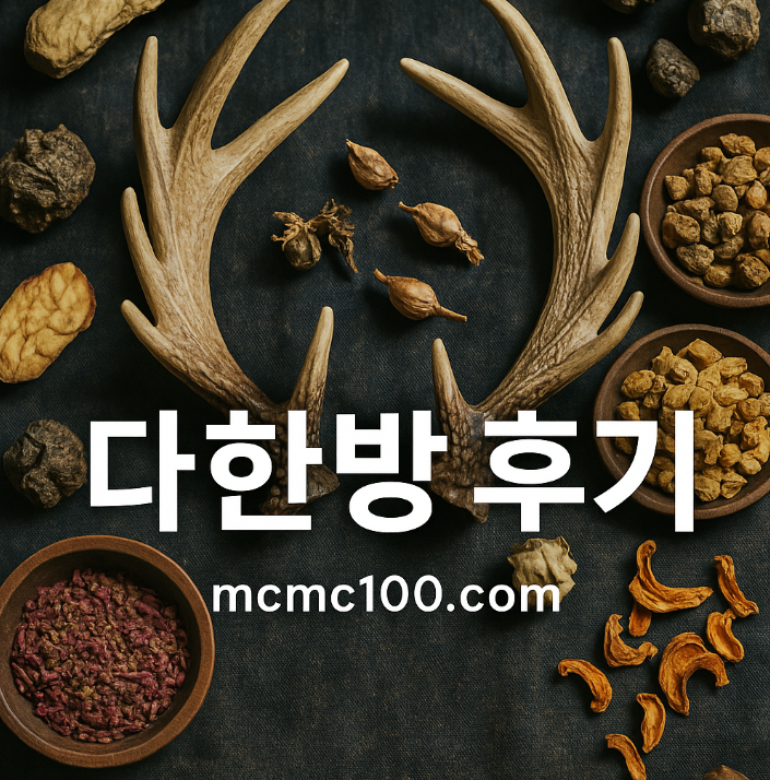 다한방 후기 다한방다이어트 효능 부작용